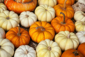 6 Halloween Activities for Aging Adults to Engage in in Roseville, CA
