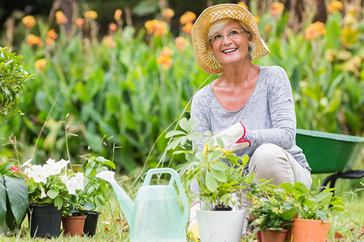 5 Healthy Hobbies for the Elderly in Roseville, CA