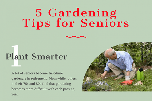 5 Gardening Tips for Seniors [Infographic]