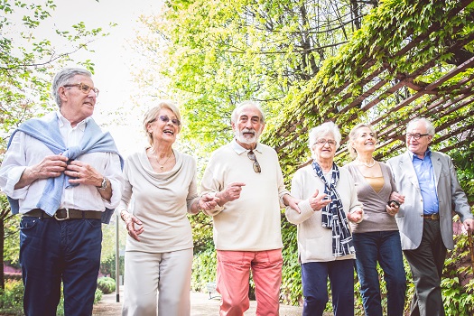 What Can Elderly People Get at No Cost in Carmichael, CA